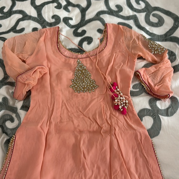 INDIAN PEACH SHARARA - Picture 6 of 11